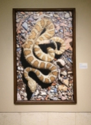 levacy-boothwesterartmuseum-snake