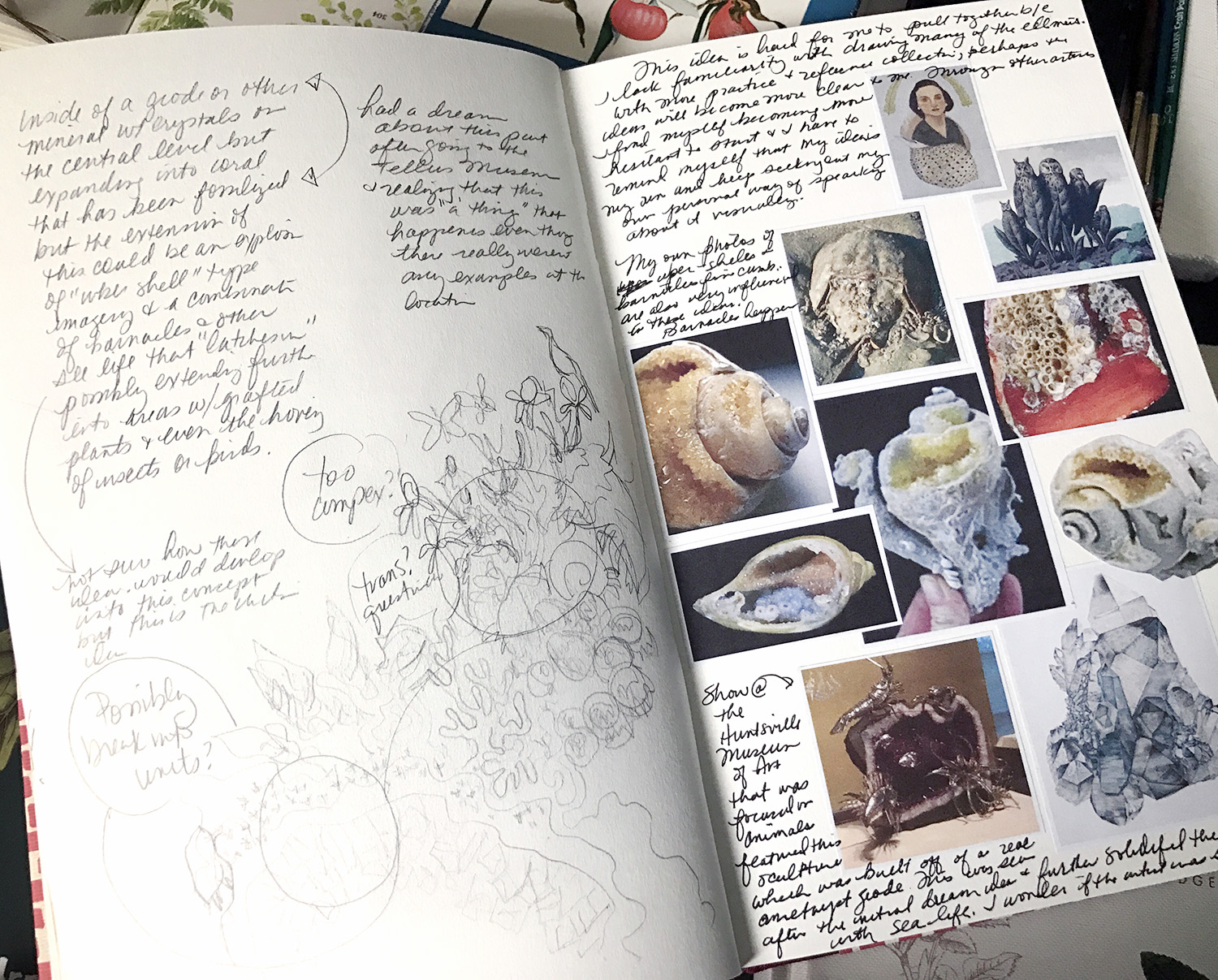 artist sketchbook – Cry The Bird